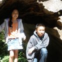 Summer, 2012, with Kara, Andrew and Madeline - Avenue of the Giants - 15